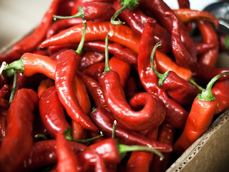 Hot Chilli