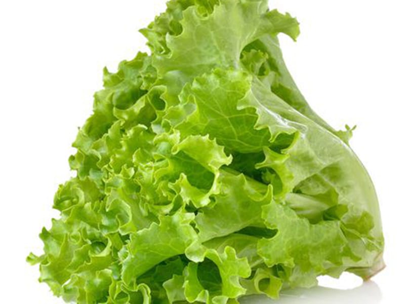 Lettuce