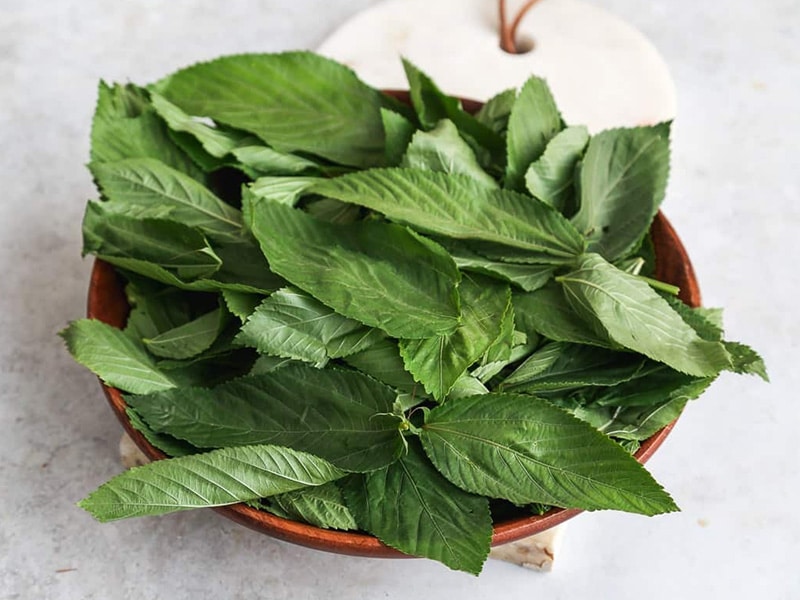 Molokhia Leaves