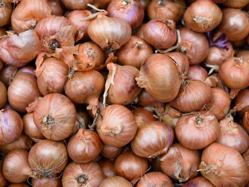 Onion